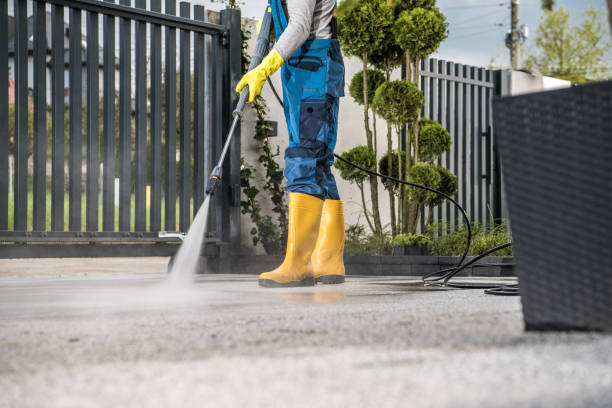 Best Soft Washing  in Parker, TX